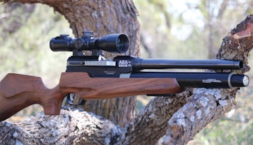 Airguns for Practice, Protection and Hunting