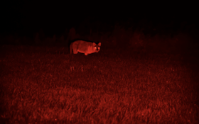 GSM Acquires CoyoteLight to Expand Predator-Hunting Lineup