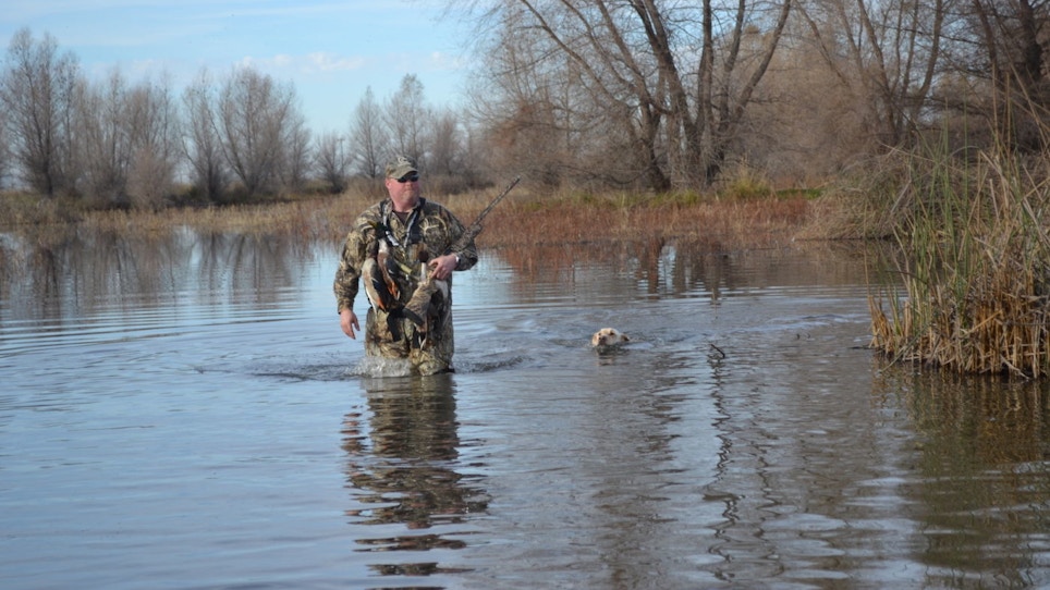 Is Your Shop Taking Advantage of Waterfowl Revenue?