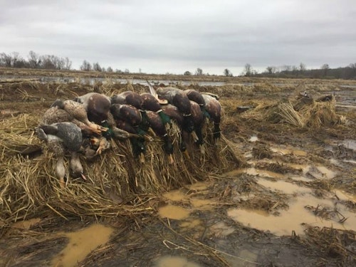 Waterfowling is a wet, muddy affair by nature, making durability a priority for many hunters looking to buy a new call.