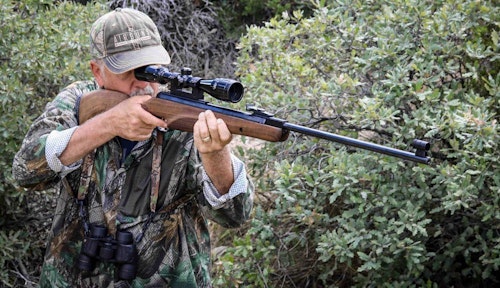 A conventional spring piston rifle can be an excellent choice for small game.