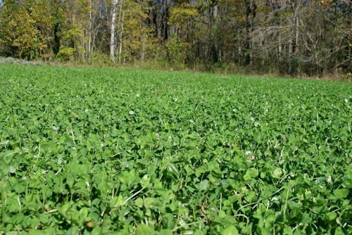 A successful food plot is a thing of beauty. Help your customers develop the plot of their dreams and they'll keep coming back.