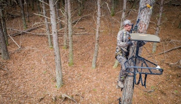 Treestand Styles and Price Points