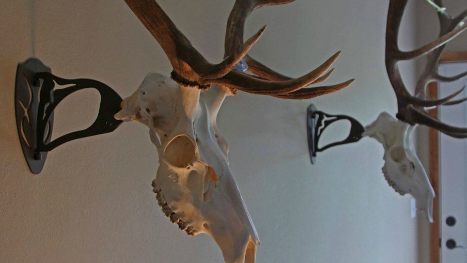 GSM Outdoors Acquires Skull Hooker and Other Hunting Retailer News