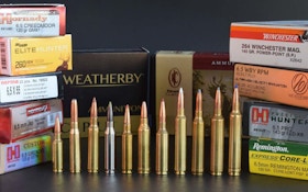 Hot Cartridges: Get to Know the 6.5 Family